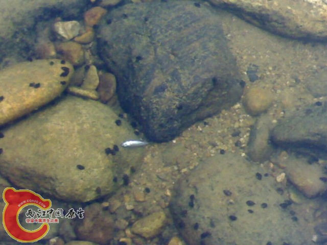 20110529035.jpg