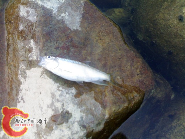 20110529036.jpg