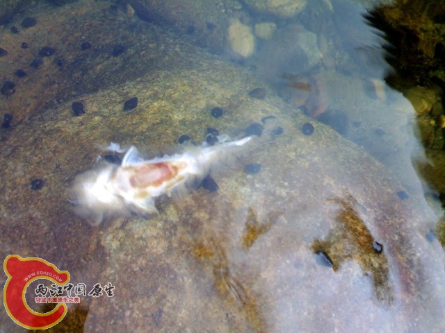 20110529037.jpg