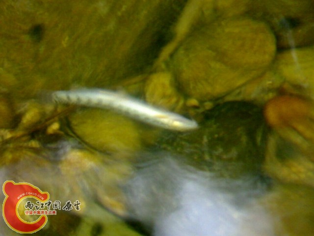 20110529044.jpg