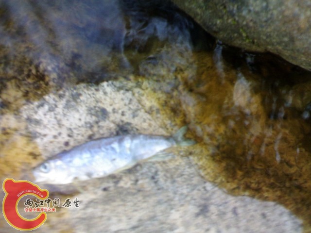 20110529042.jpg