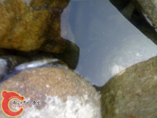 20110529049.jpg