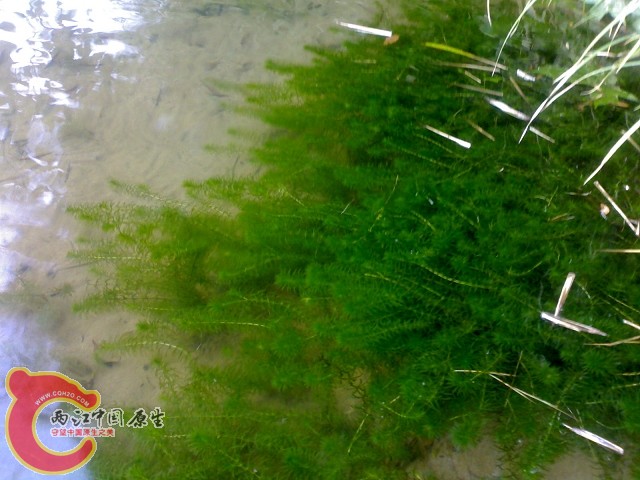 20110529045.jpg