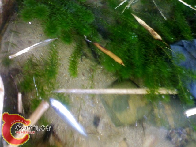 20110529047.jpg