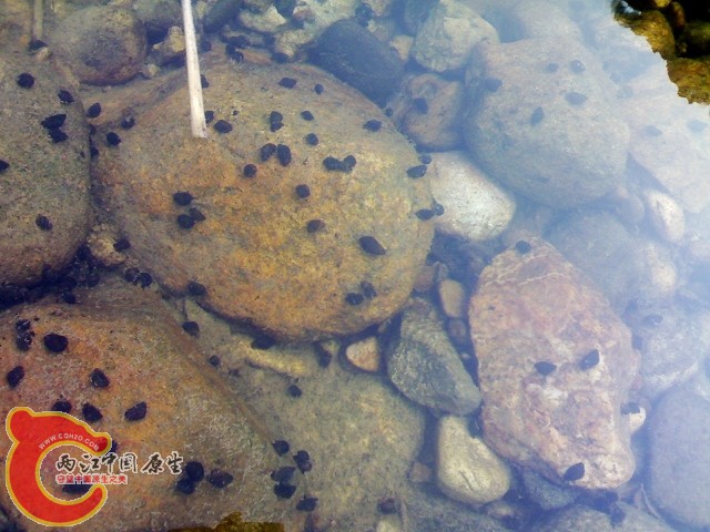 20110529033.jpg