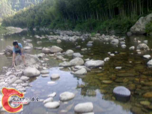 20110529048.jpg
