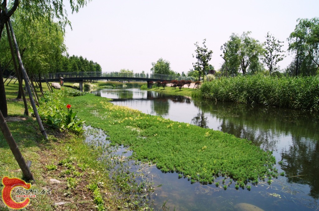 DSC00090.JPG