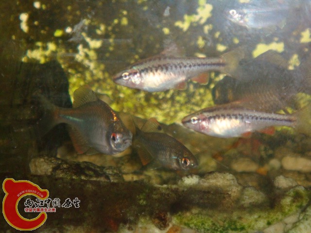 DSC02386.JPG