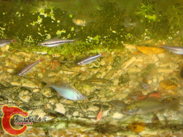 DSC02404.JPG