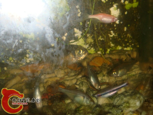 DSC02396.JPG