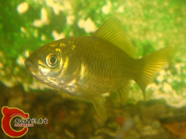 DSC02544.JPG