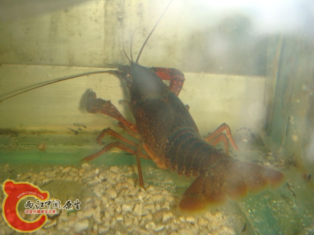 DSC02635.JPG