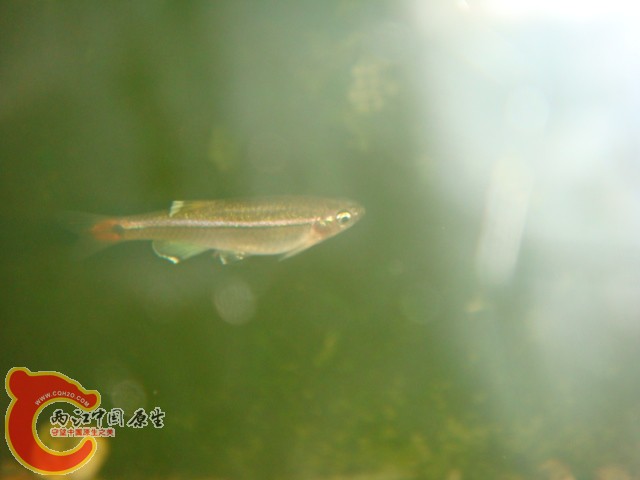 DSC02423.JPG