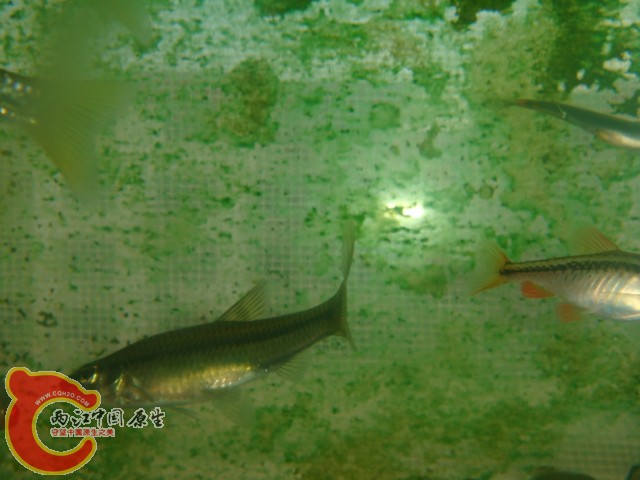 DSC02766.JPG