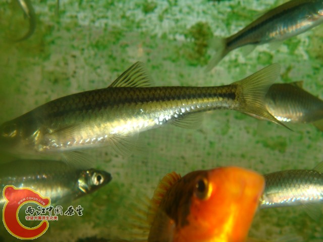 DSC02793.JPG