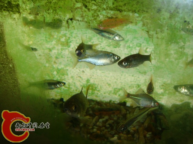 DSC02800.JPG
