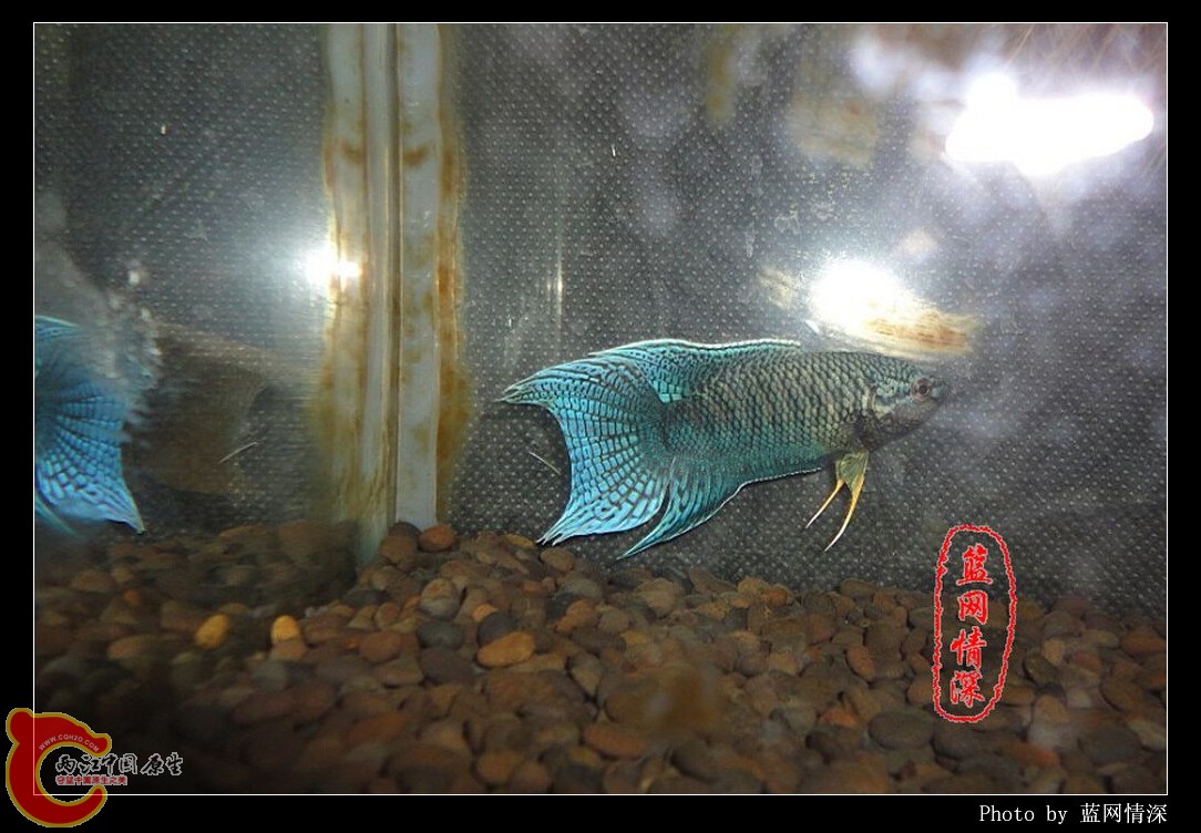 1副本 [1024x768].jpg