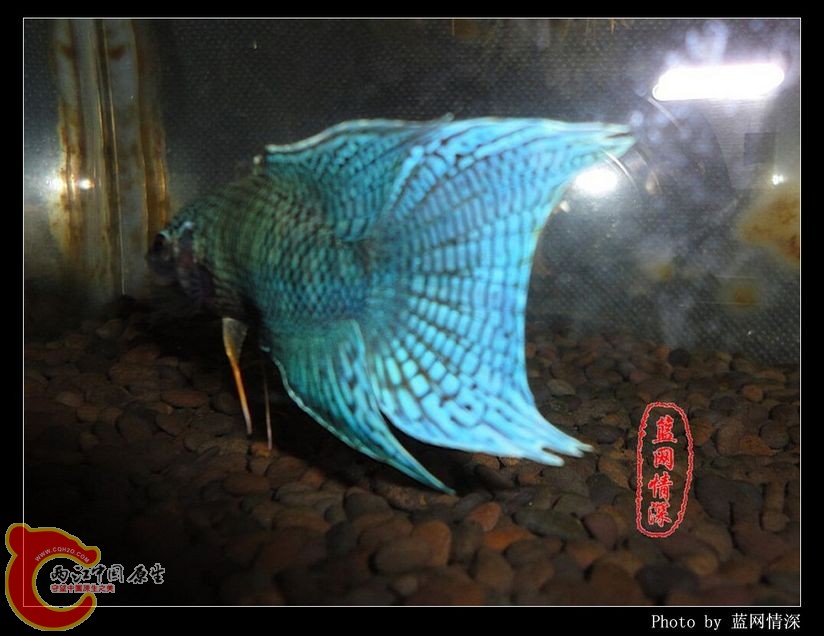 2副本 [1024x768] [1024x768].jpg