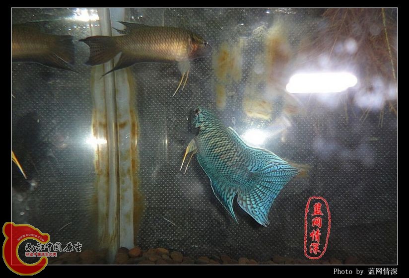 3副本 [1024x768] [1024x768].jpg