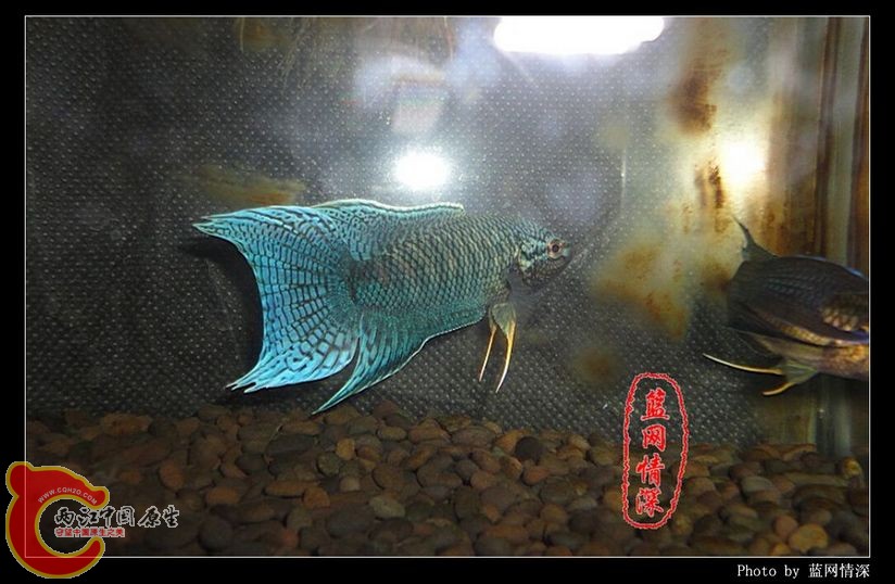 4副本 [1024x768] [1024x768].jpg