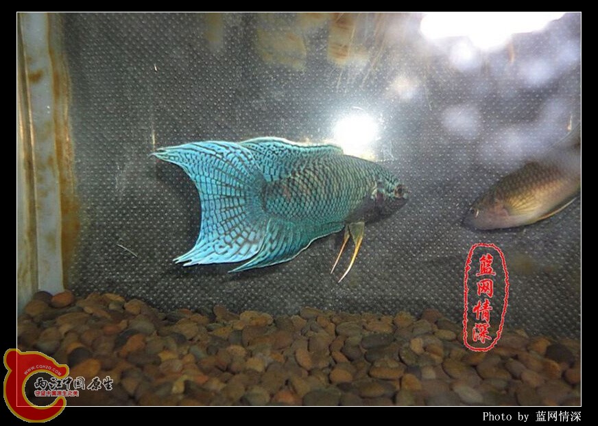 5副本 [1024x768] [1024x768].jpg