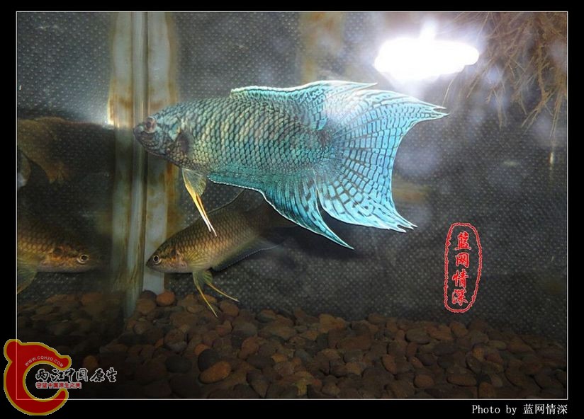 6副本 [1024x768] [1024x768].jpg