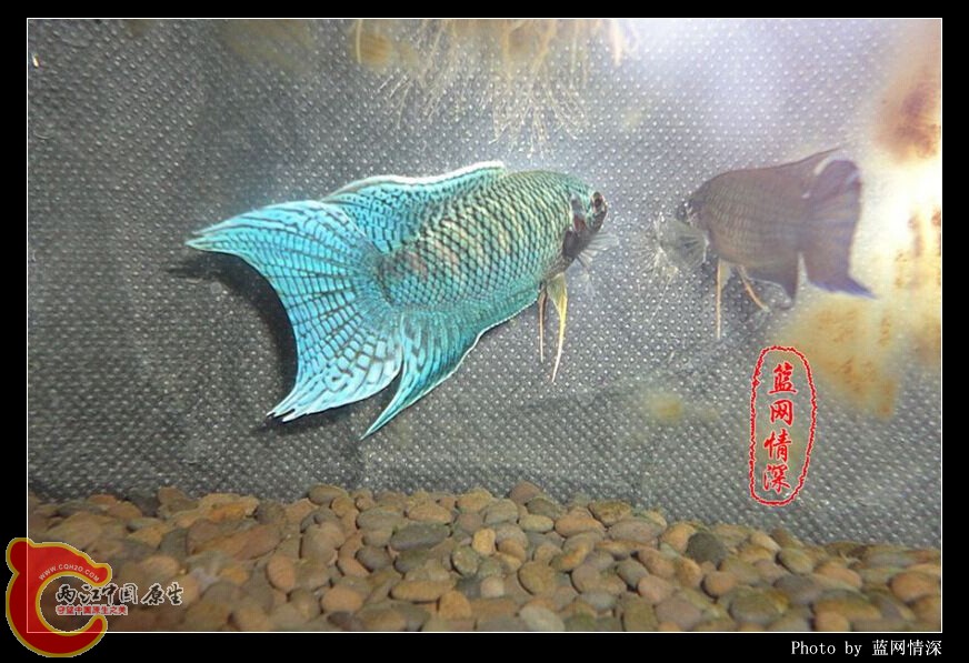 7副本 [1024x768] [1024x768].jpg