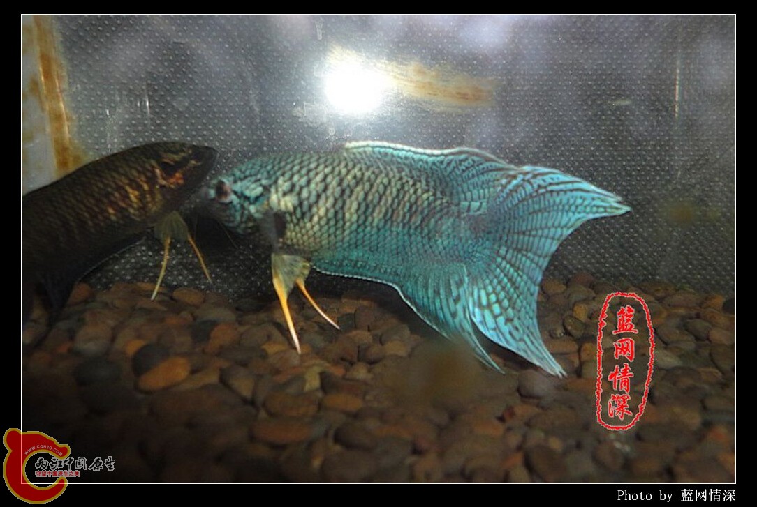 9副本 [1024x768].jpg