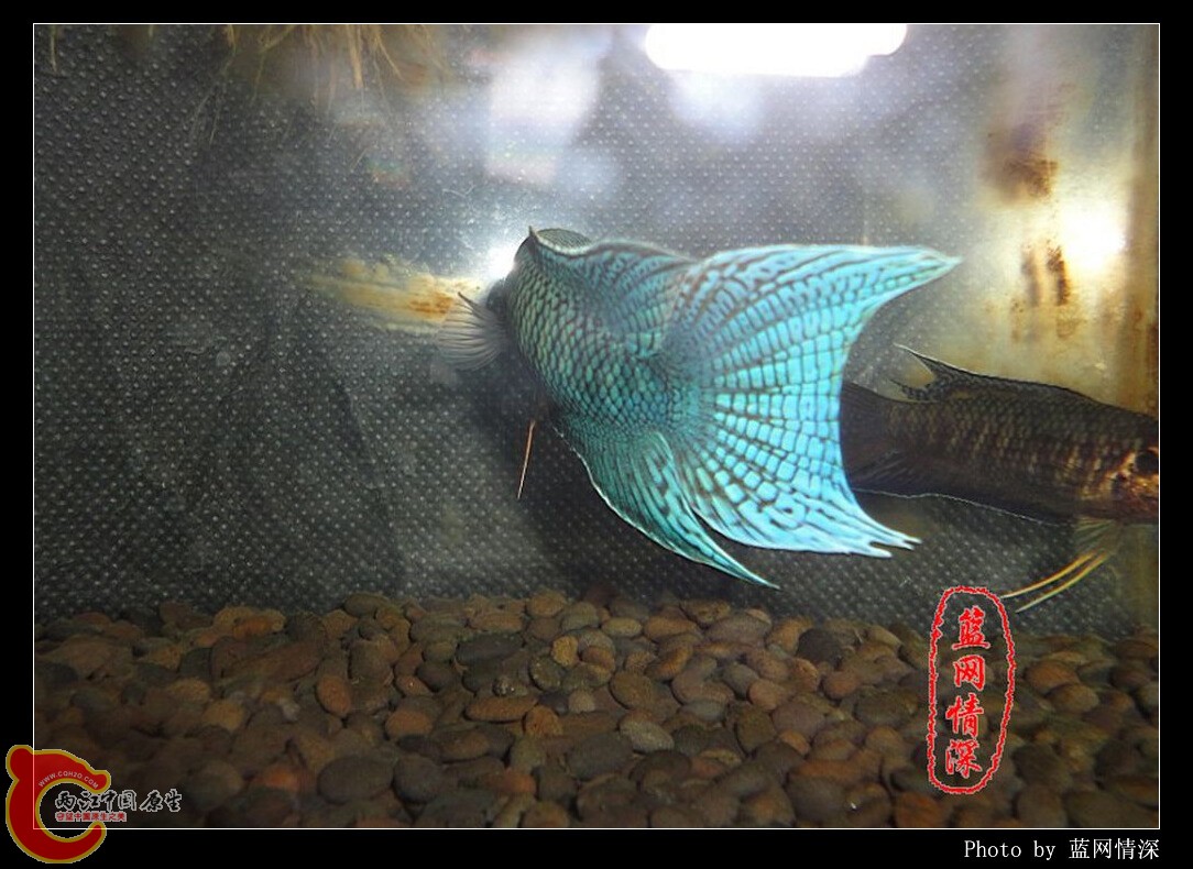 10副本 [1024x768].jpg