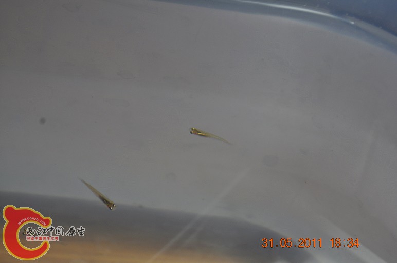 DSC_0835.JPG
