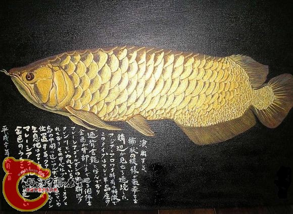 2303740_14225051.jpg
