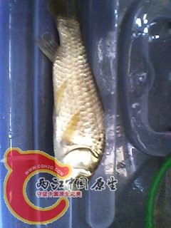 DSC_0000015.jpg