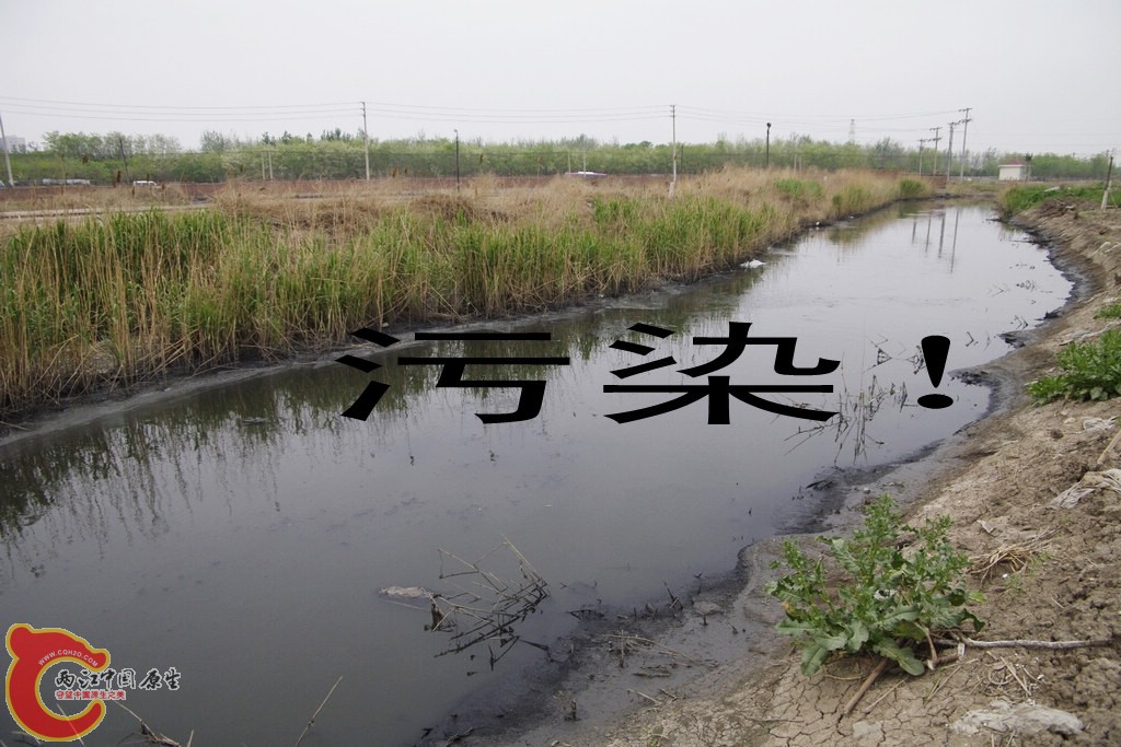 _IGP3768_conew1.jpg