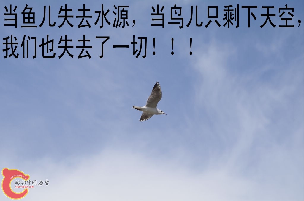 _IGP4299_conew1.jpg