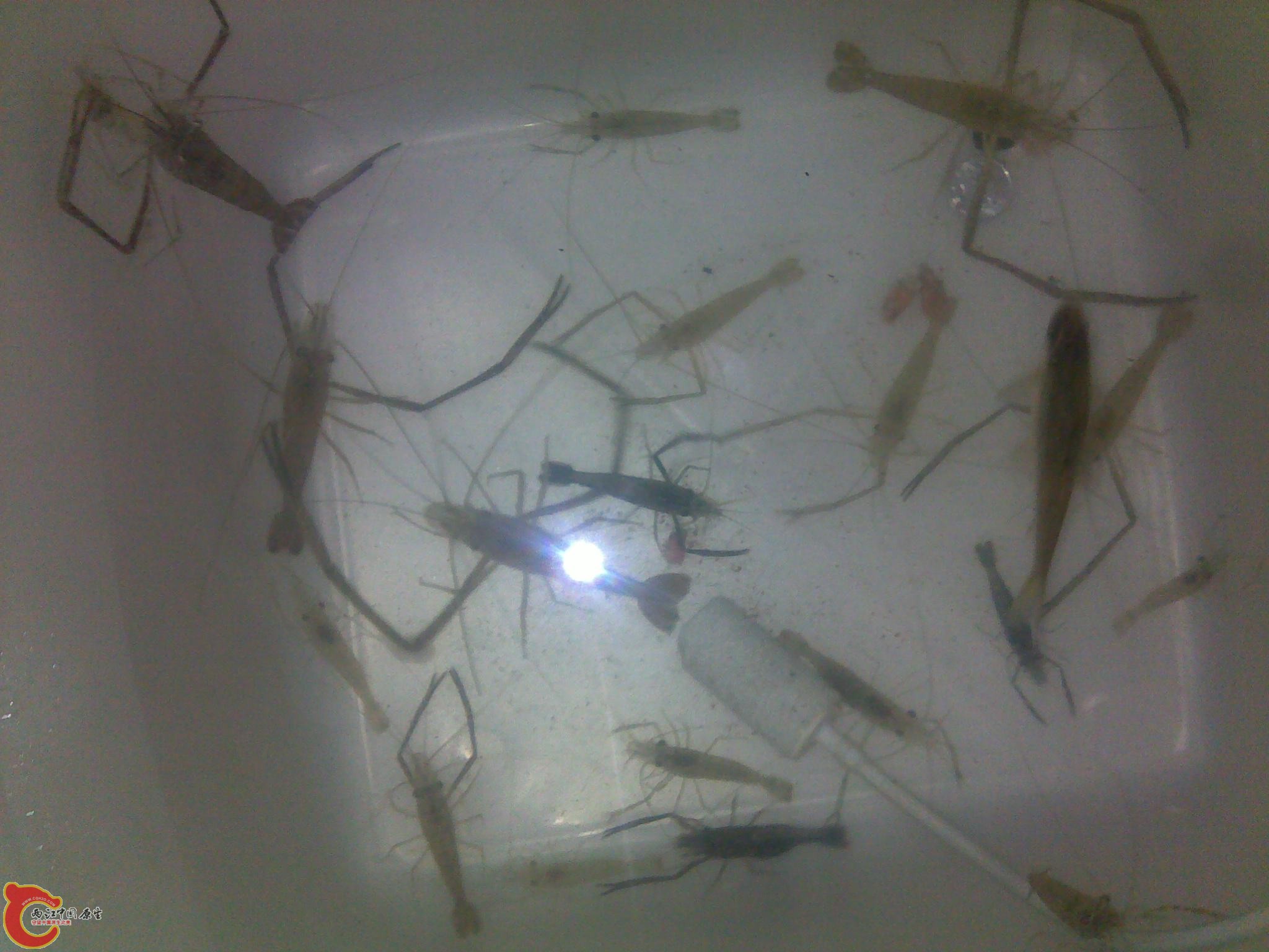 20110602279.jpg