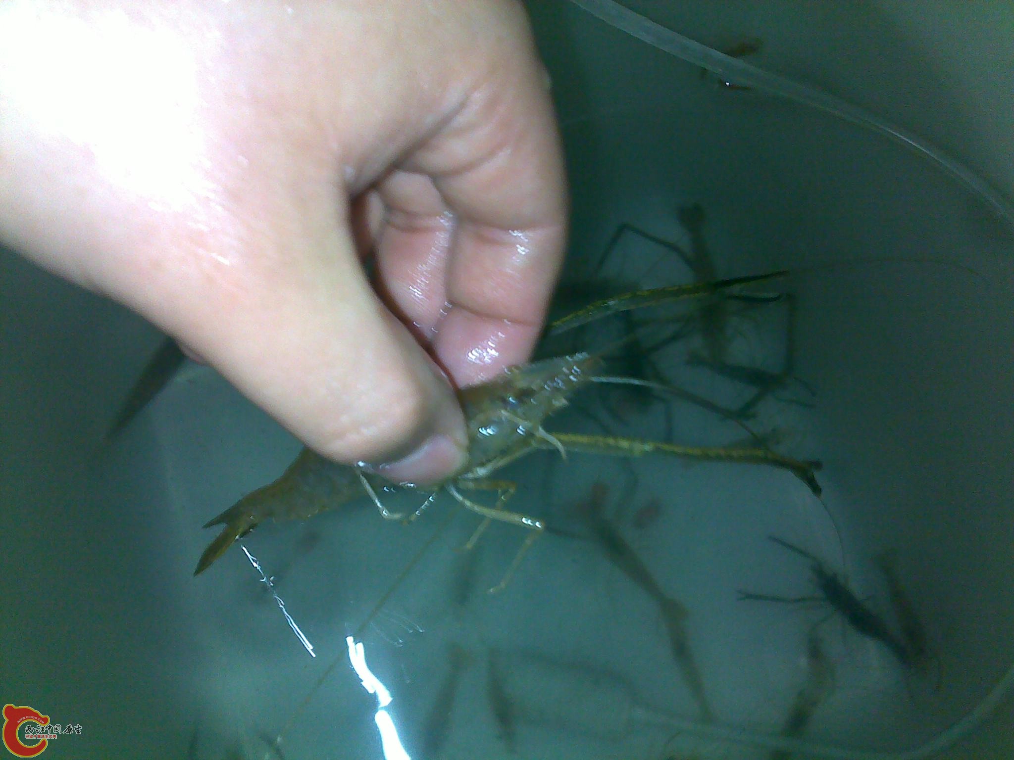 20110602281.jpg