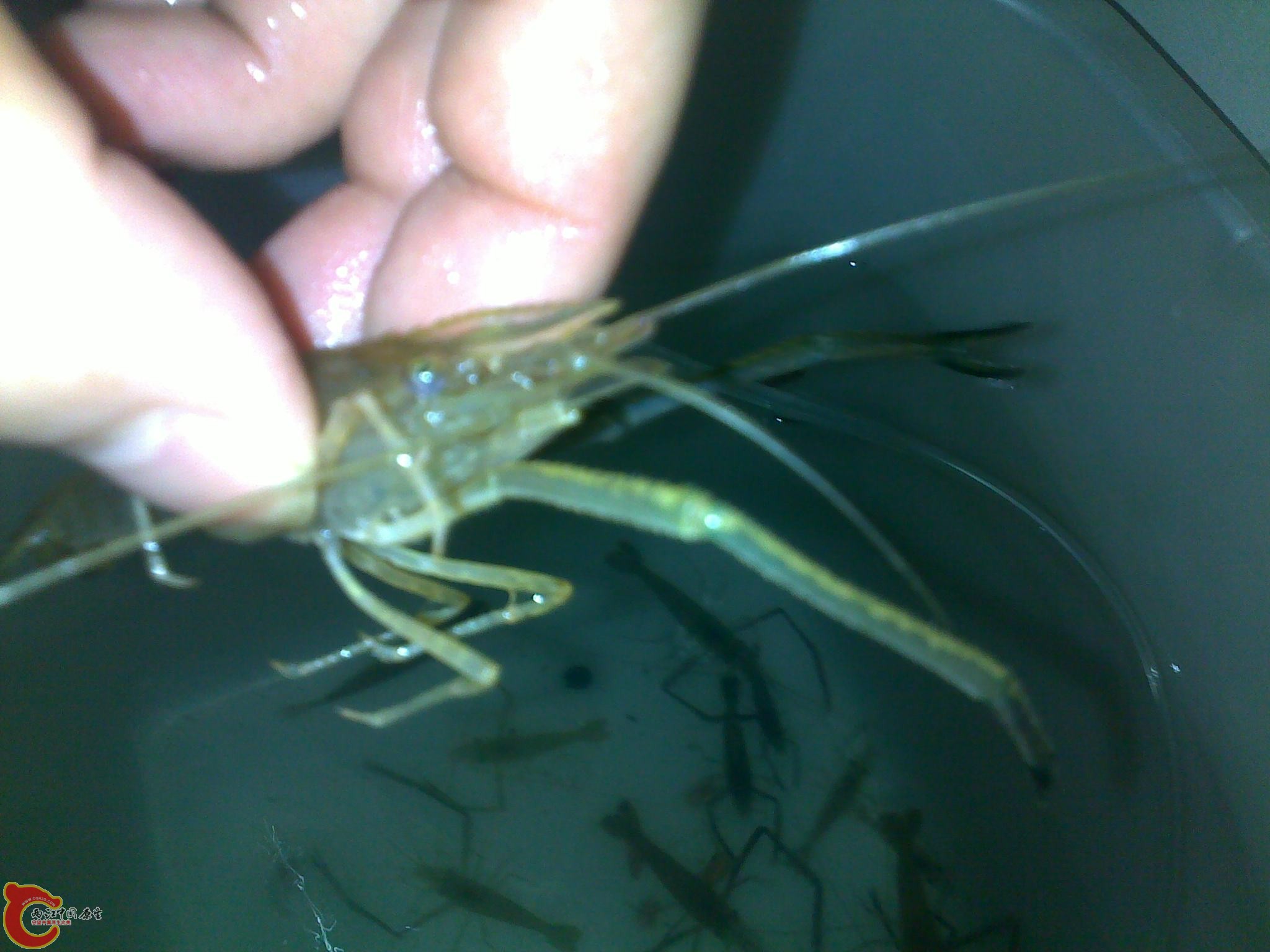 20110602282.jpg
