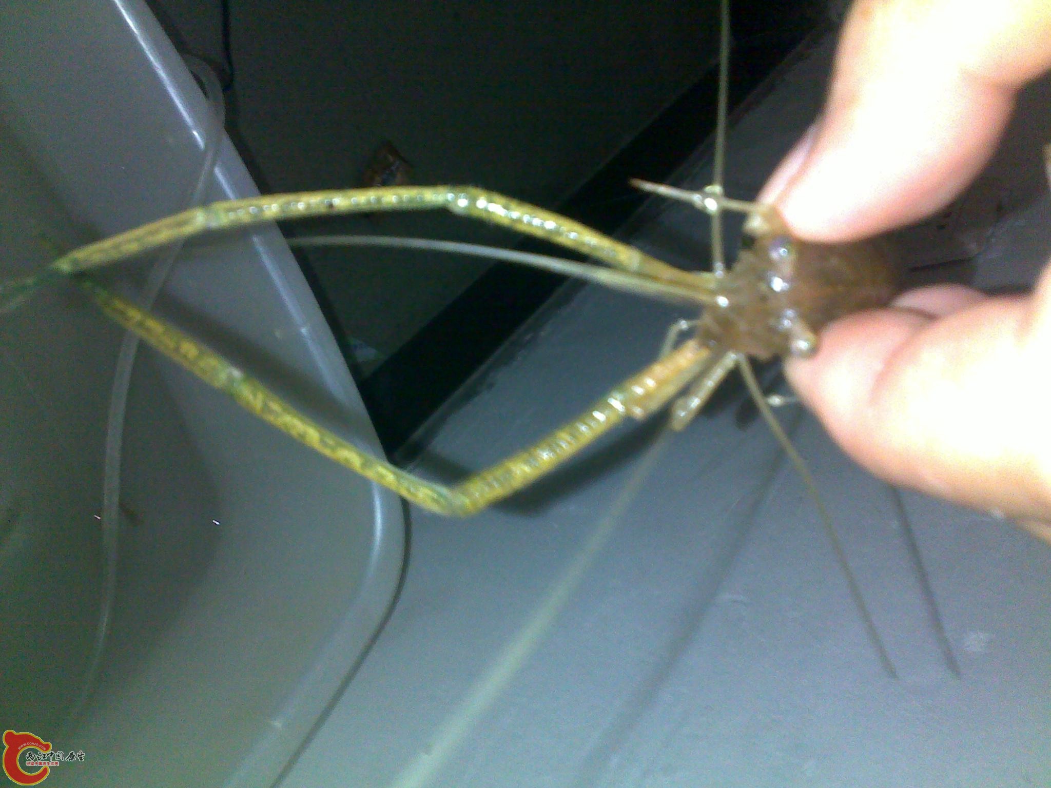 20110602283.jpg