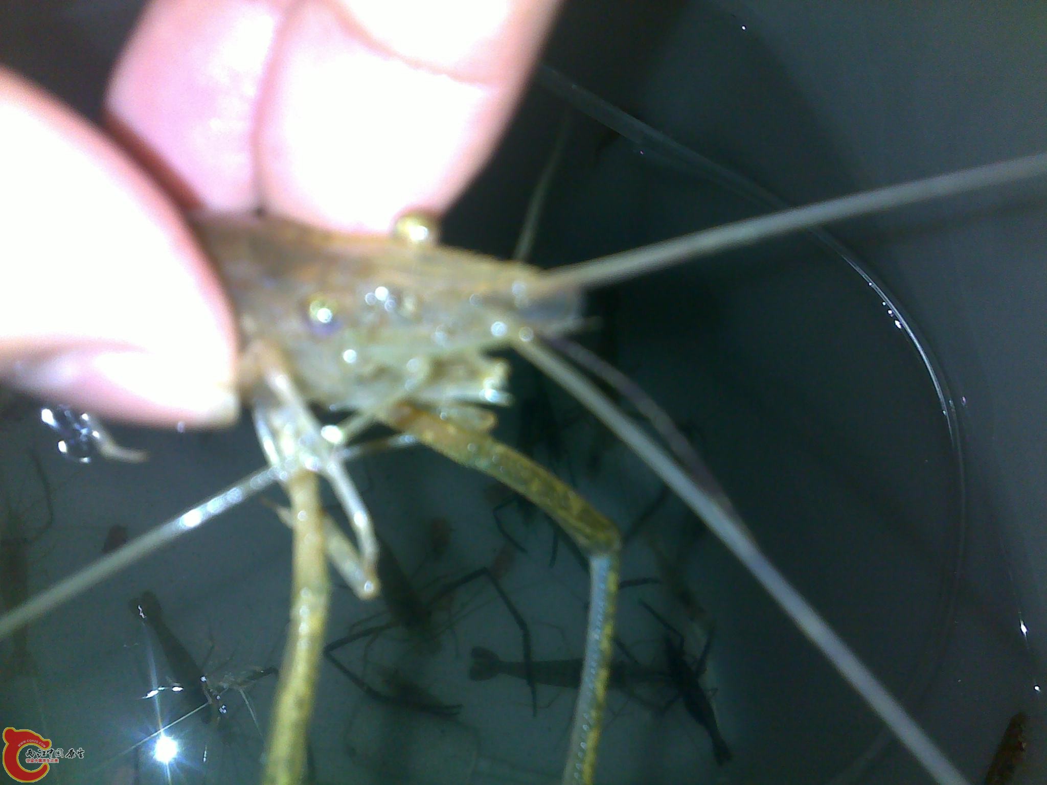 20110602284.jpg