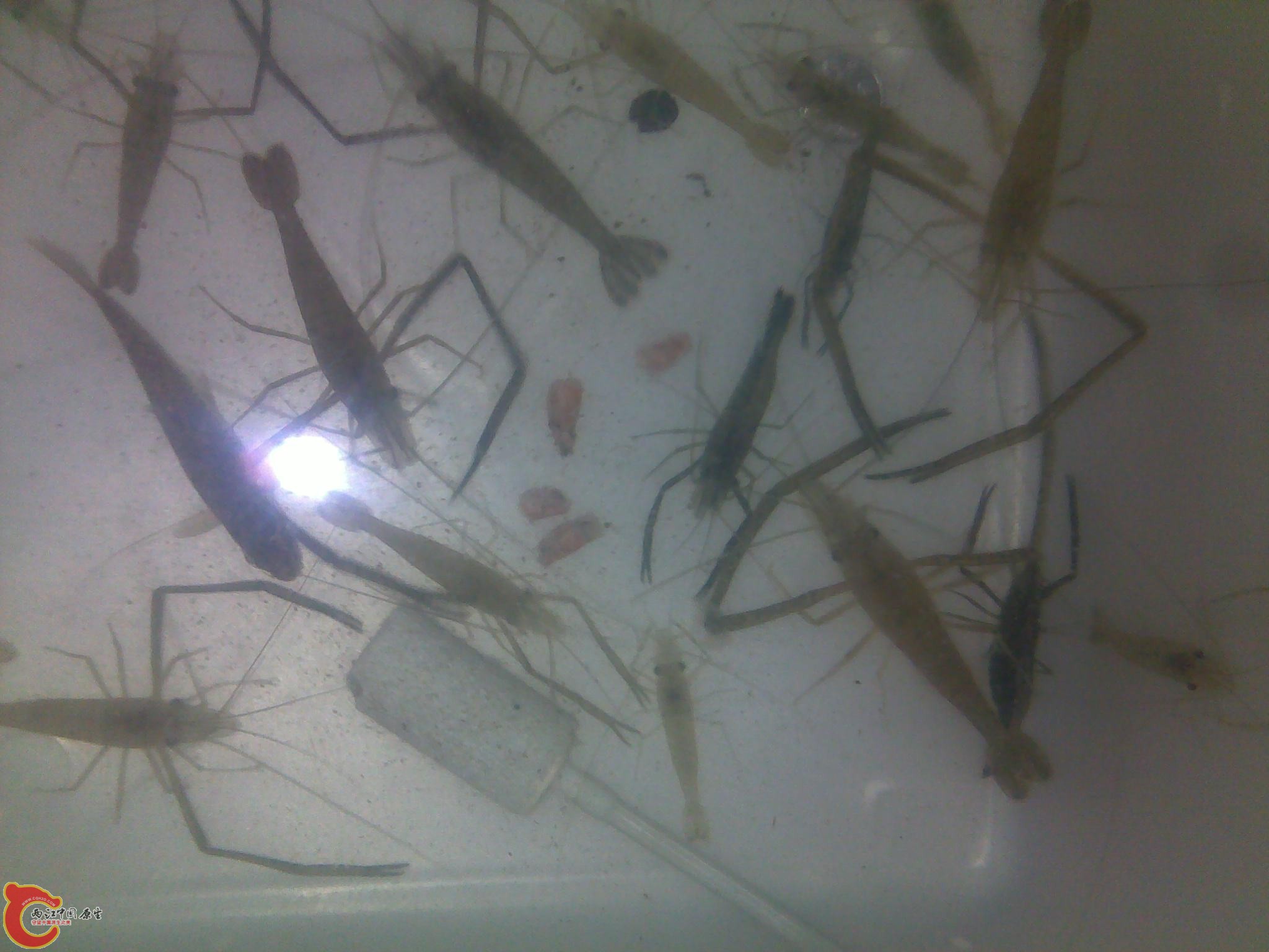 20110602285.jpg