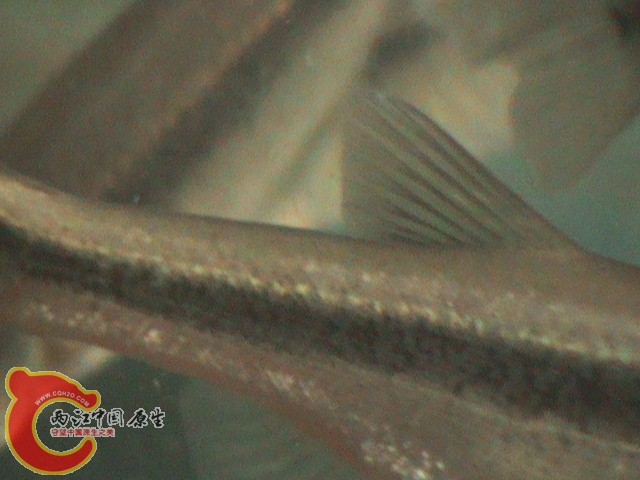 DSC00925.JPG