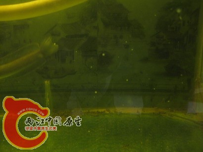 IMG_0121_调整大小.JPG