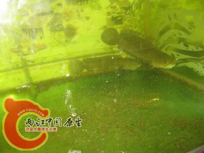 IMG_0137_调整大小.JPG