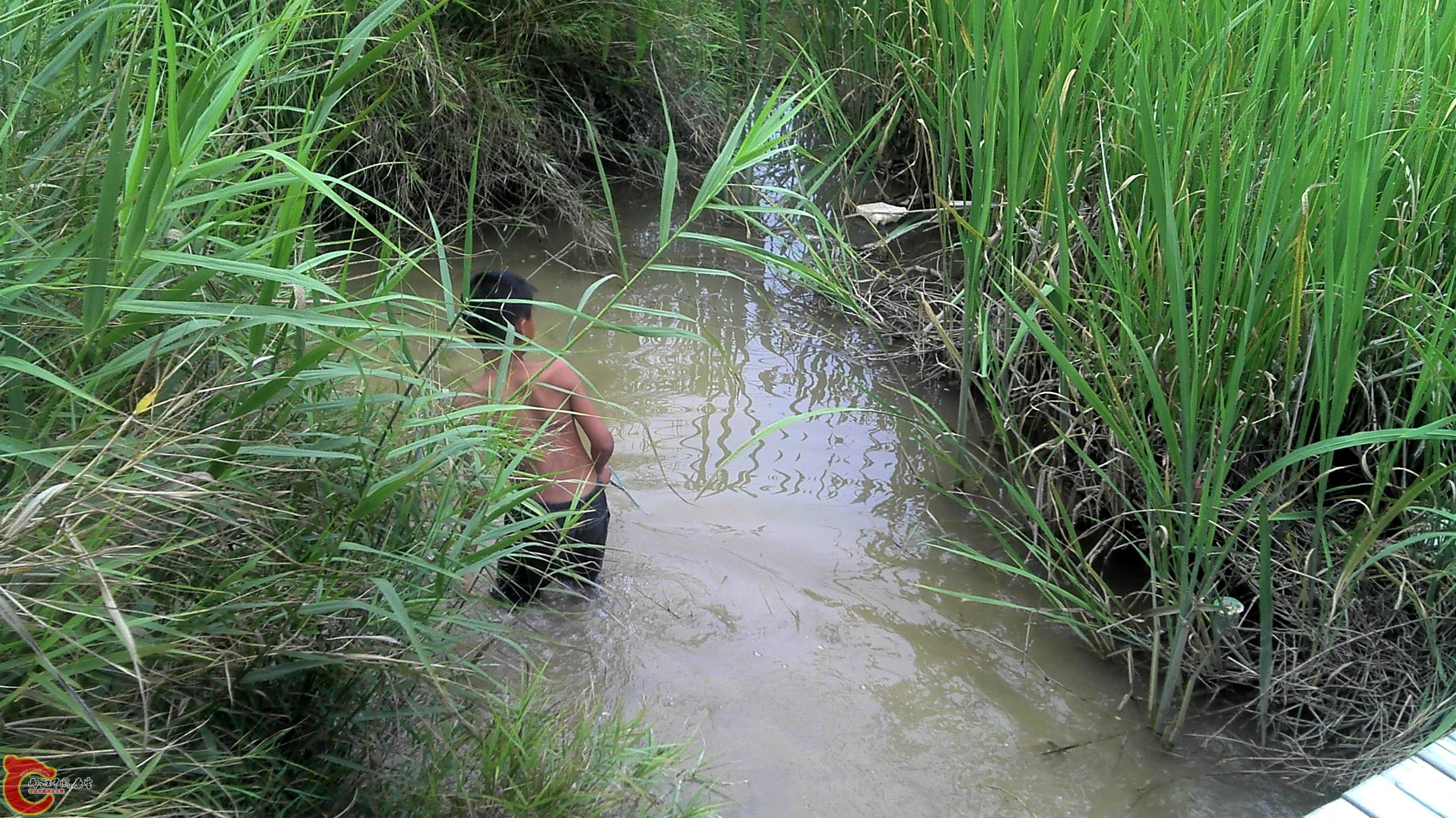 重新曝光 2011-06-02_13-29-51_359.jpg