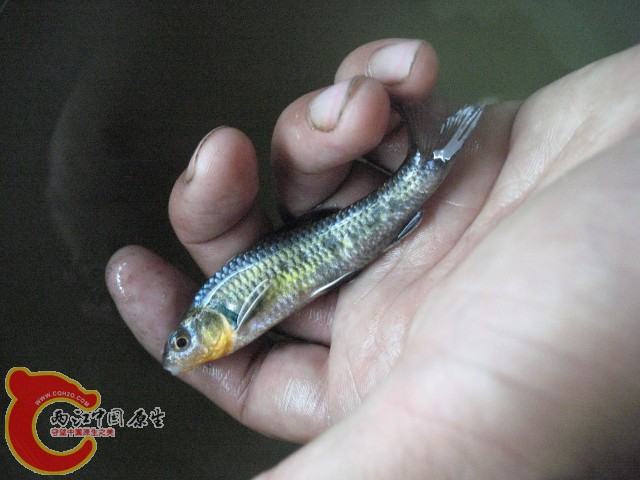 test1 330.jpg
