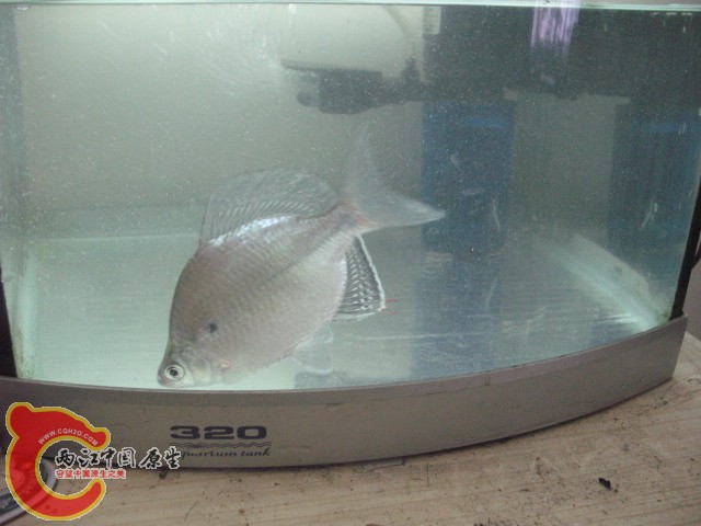 test1 022.jpg