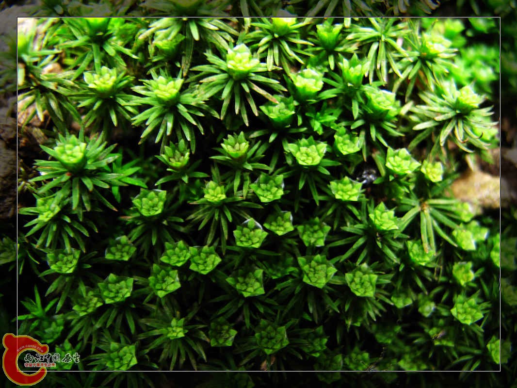 nEO_IMG_药王山 002.jpg
