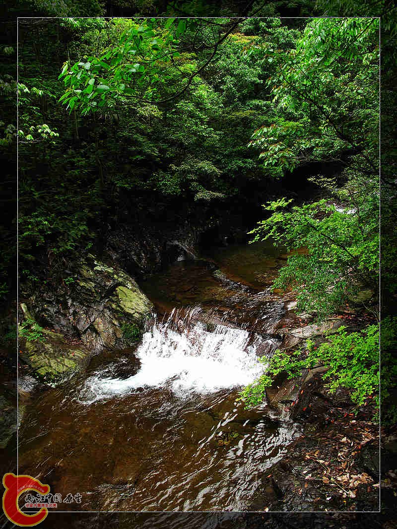 nEO_IMG_药王山 011.jpg