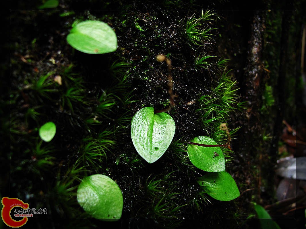 nEO_IMG_药王山 019.jpg