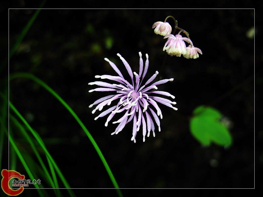 nEO_IMG_药王山 025.jpg